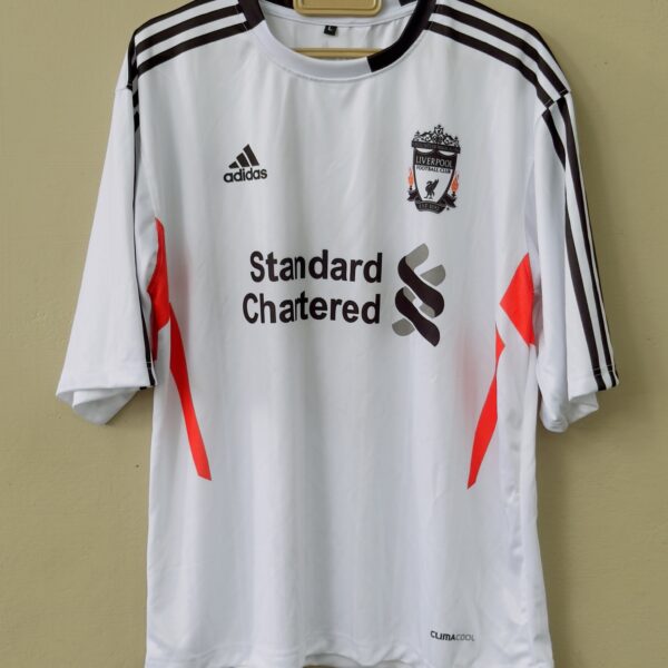 LIVERPOOL AWAY KIT 2007/2008 TORRES FIVESLEEVE