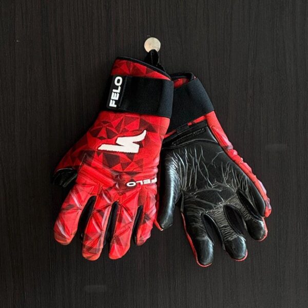 FB Gloves Felo ( Professional )